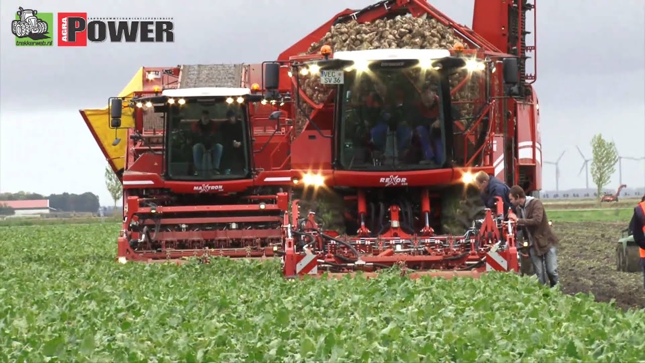Grimme Rexor 620 bietenrooier - Beet Europe 2010 - Agrio