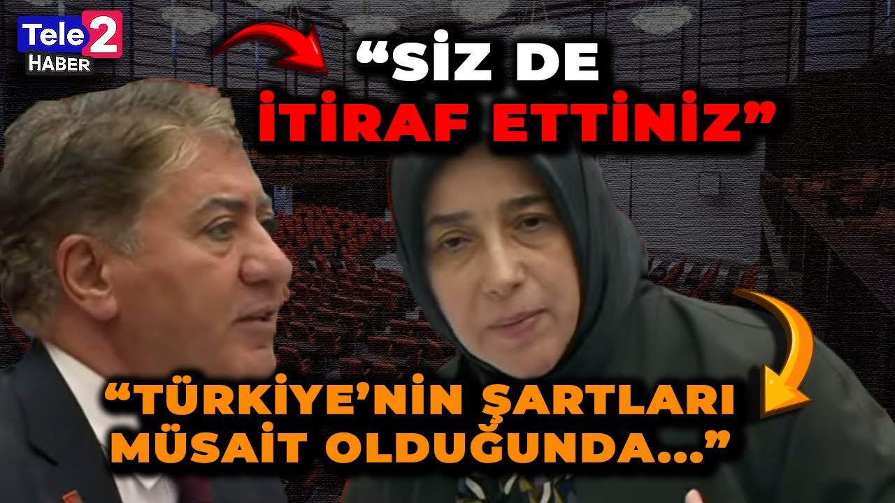 AKP'li Özlem Zengin emekli zammı itirafı: Yeterli değil biliyoruz