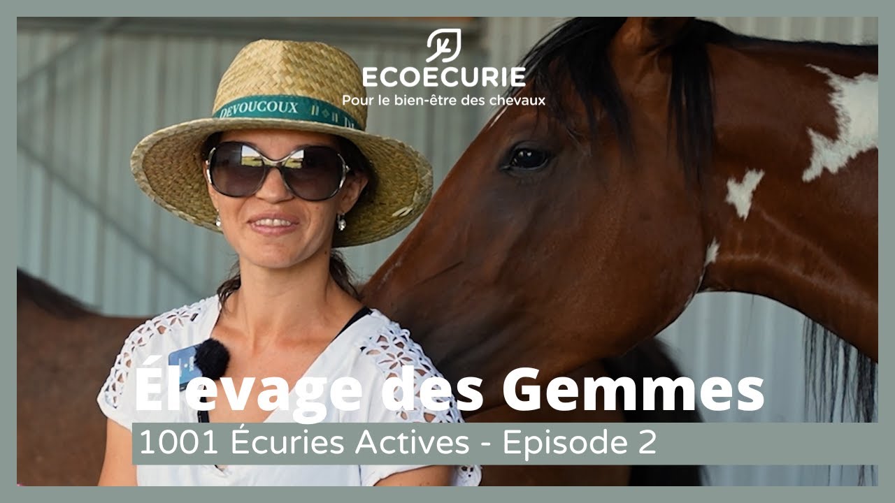 1001 Écuries Actives : Sonia Lamothe - ÉLEVAGE DES GEMMES