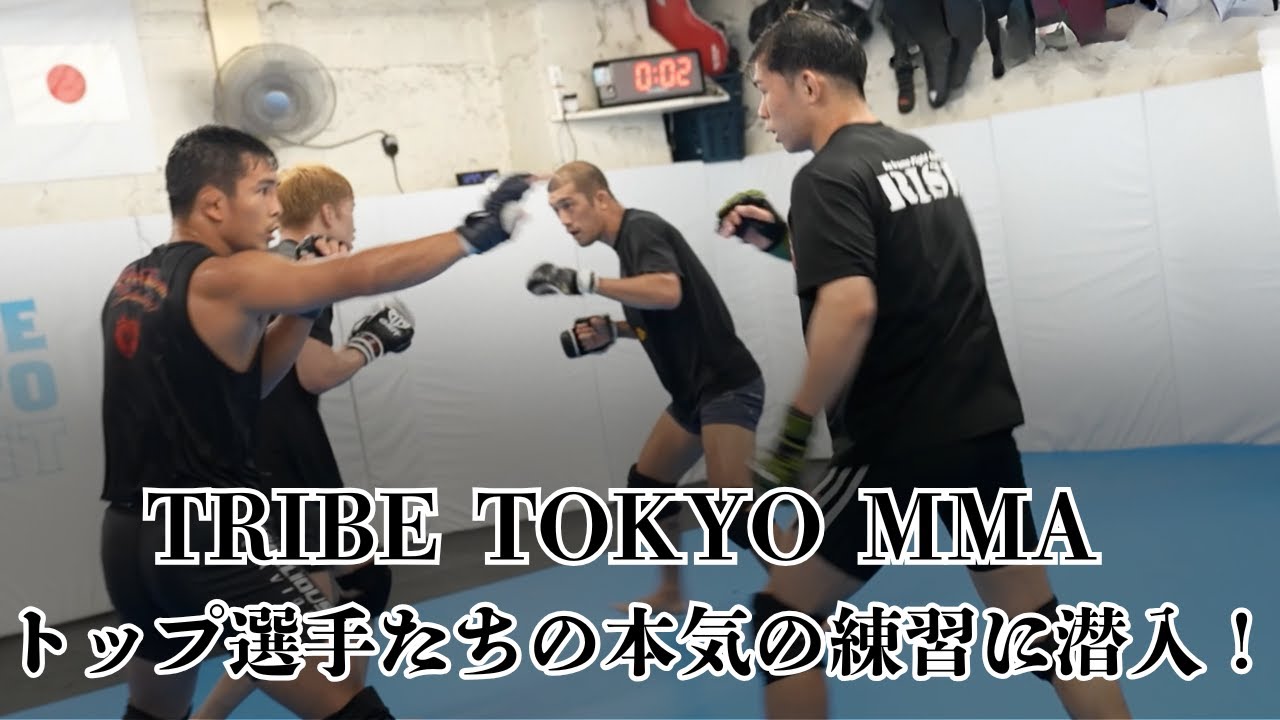 TRIBE TOKYO MMAに集う日本を代表するトップ選手たちの練習に潜入！朝倉海選手・YA-MAN選手・佐藤将光選手・上久保周哉選手・神龍誠選手などが集結！