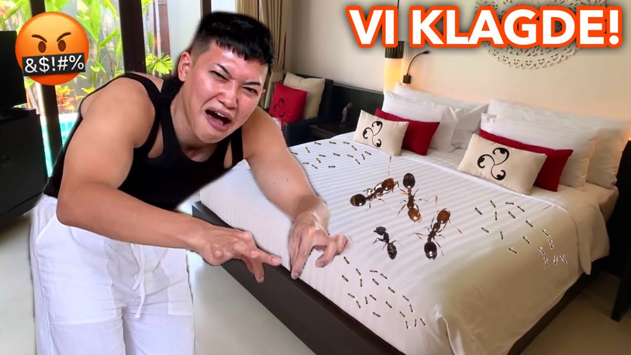 FANT MAUR I SENGA PÅ HOTELL - VI KLAGDE😡🇹🇭 | Reisevlogg #6