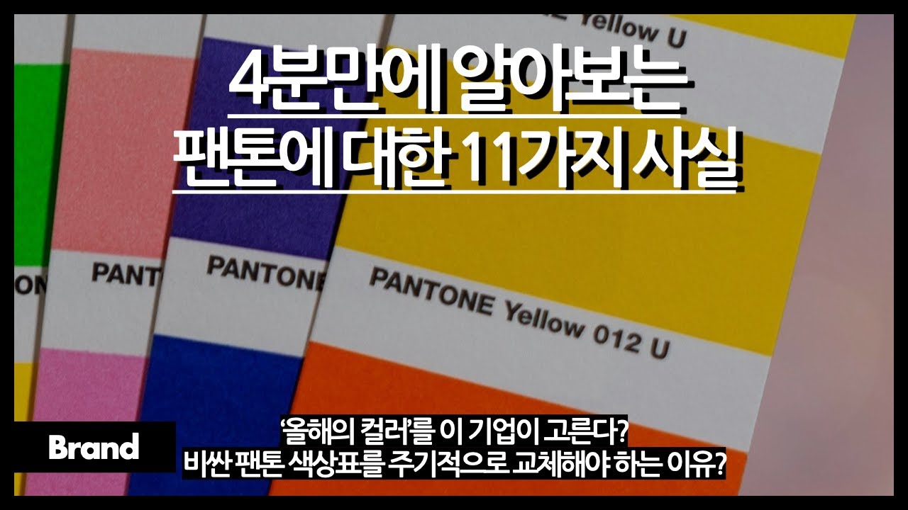 4분만에 알아보는 팬톤에 대한 11가지 사실 / 올해의 컬러를 고르는 회사? / 팬톤이 설립된 이유? / 비싼 팬톤 색상표를 계속 바꿔줘야 된다?