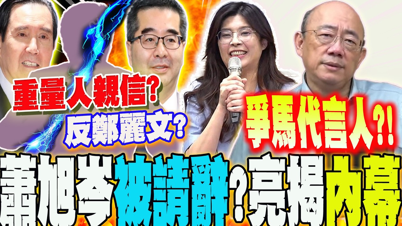 蕭旭岑被請辭?與馬英九有心結?扯