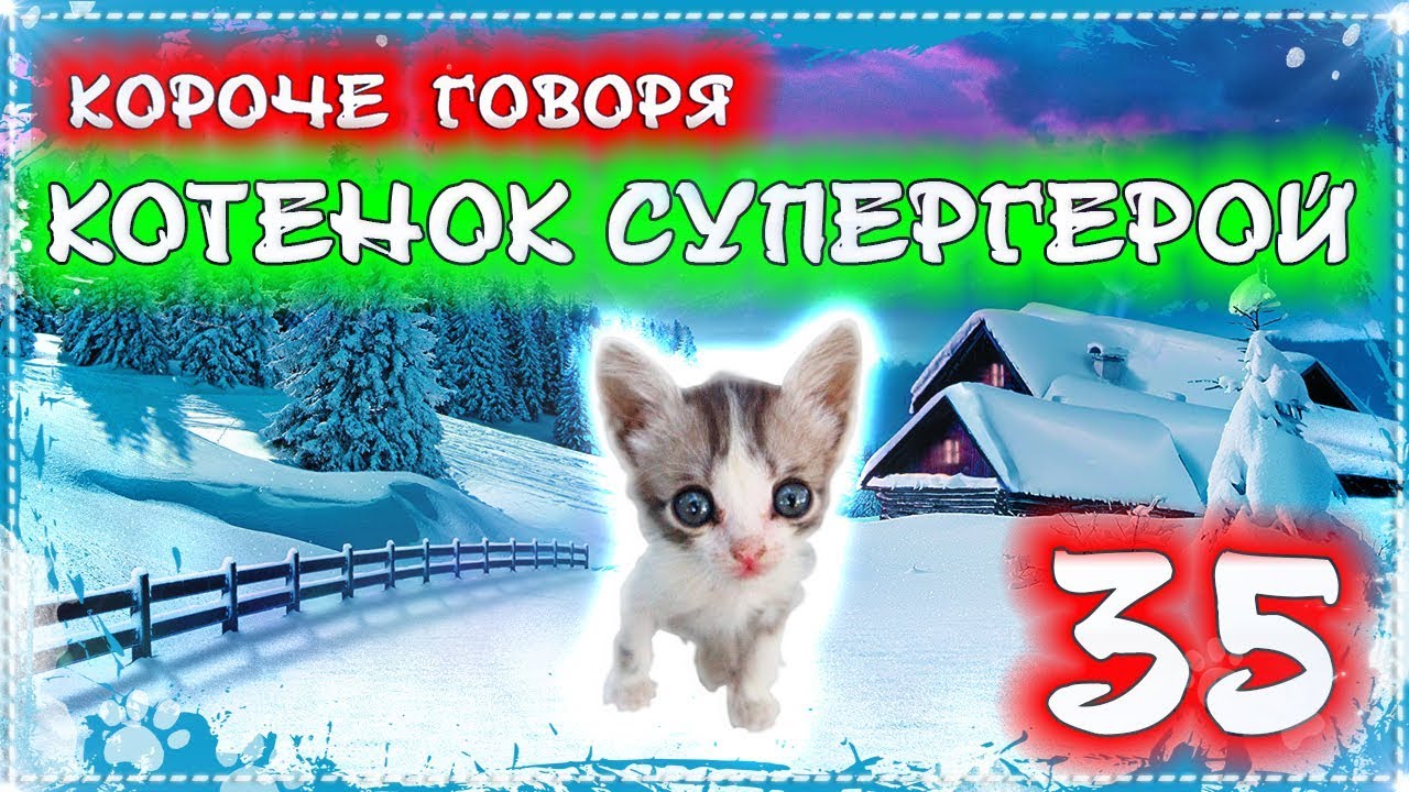 КОРОЧЕ ГОВОРЯ, КОТЕНОК ЛАЙКИ СУПЕР ГЕРОЙ 35 [От первого лица] Бездомный котенок