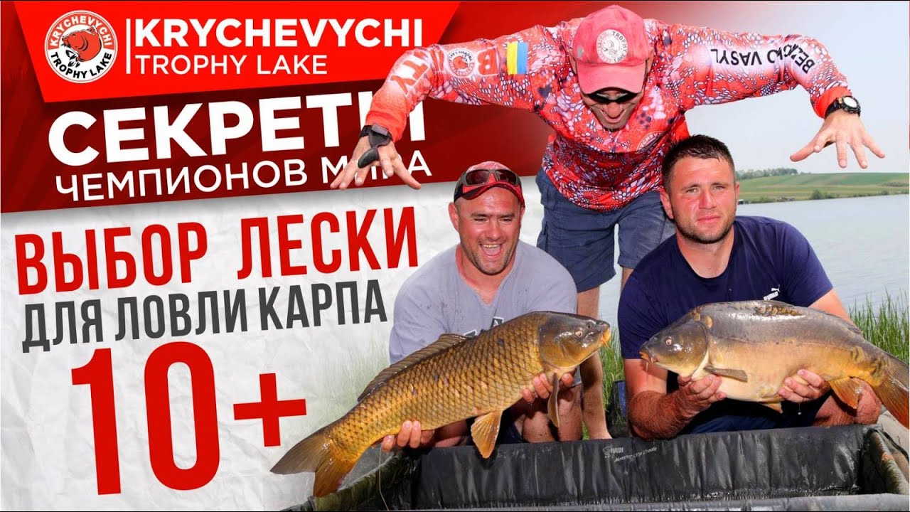Выбор лески для ловли карпа 10+