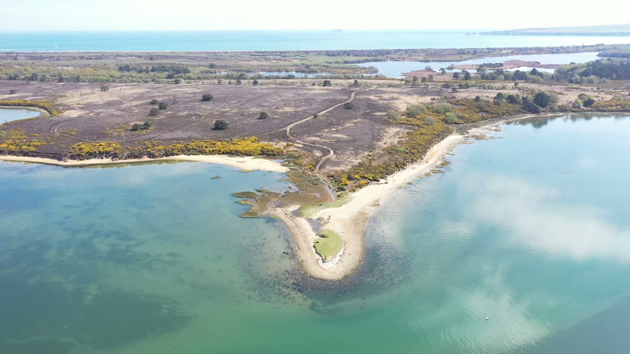Green Island.  Poole Harbour.