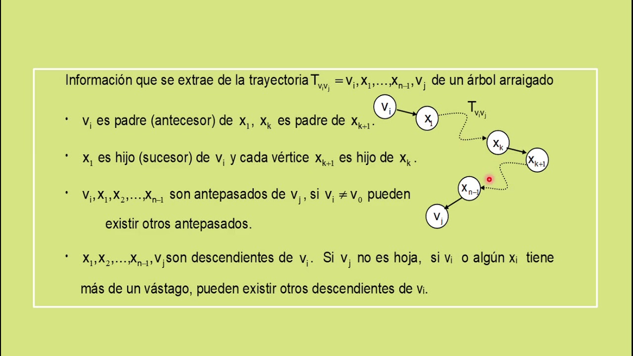Presentación de Arboles arraigados-elementos-propiedades