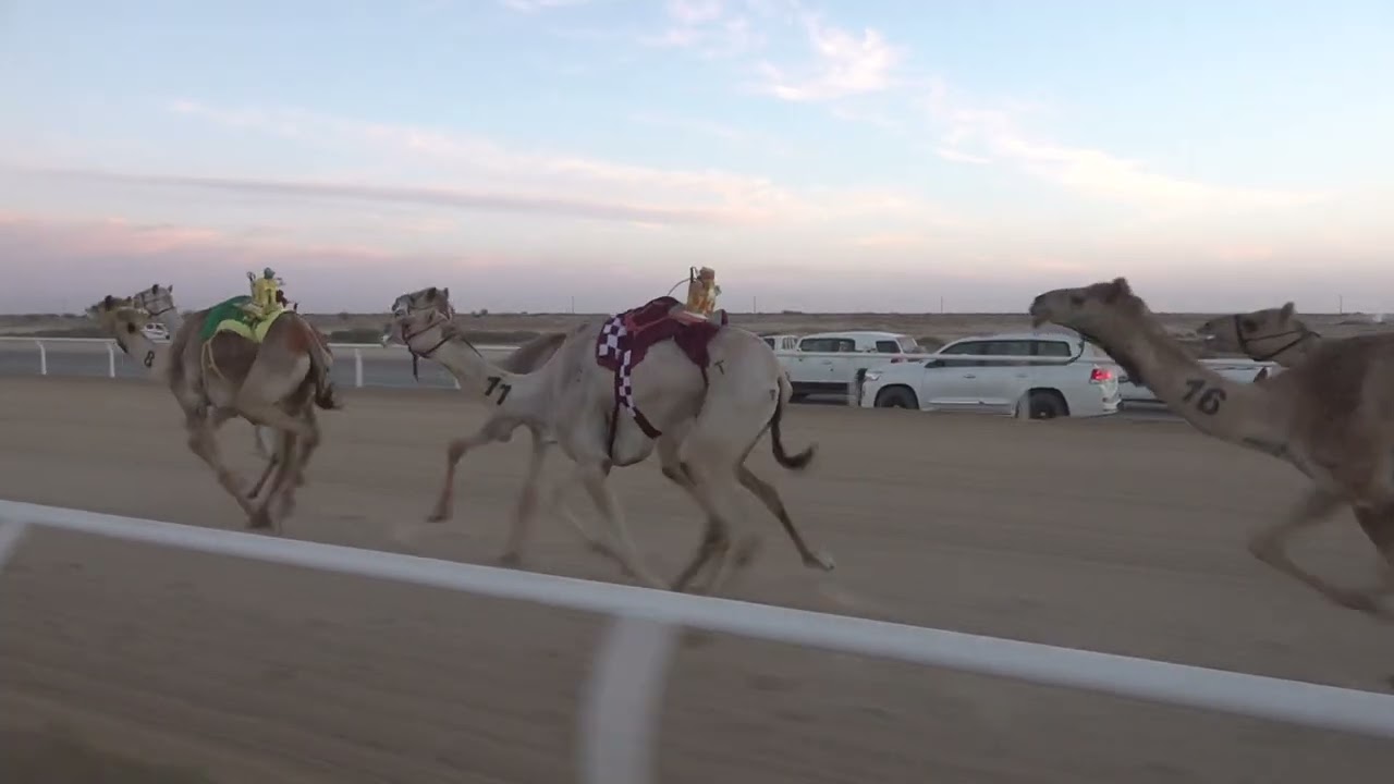 ش1 بكار ثنايا 1447/09/12هـ - 2026/03/01م (الرباعه) دخيل الله كليب زيد الوعيلي القرشي