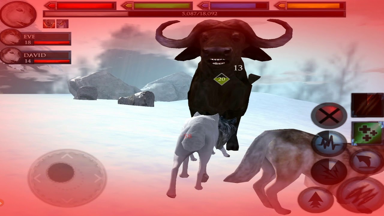 Furious Husky VS🐃 Angry Musk Ox Bull, Ultimate Arctic Simulator