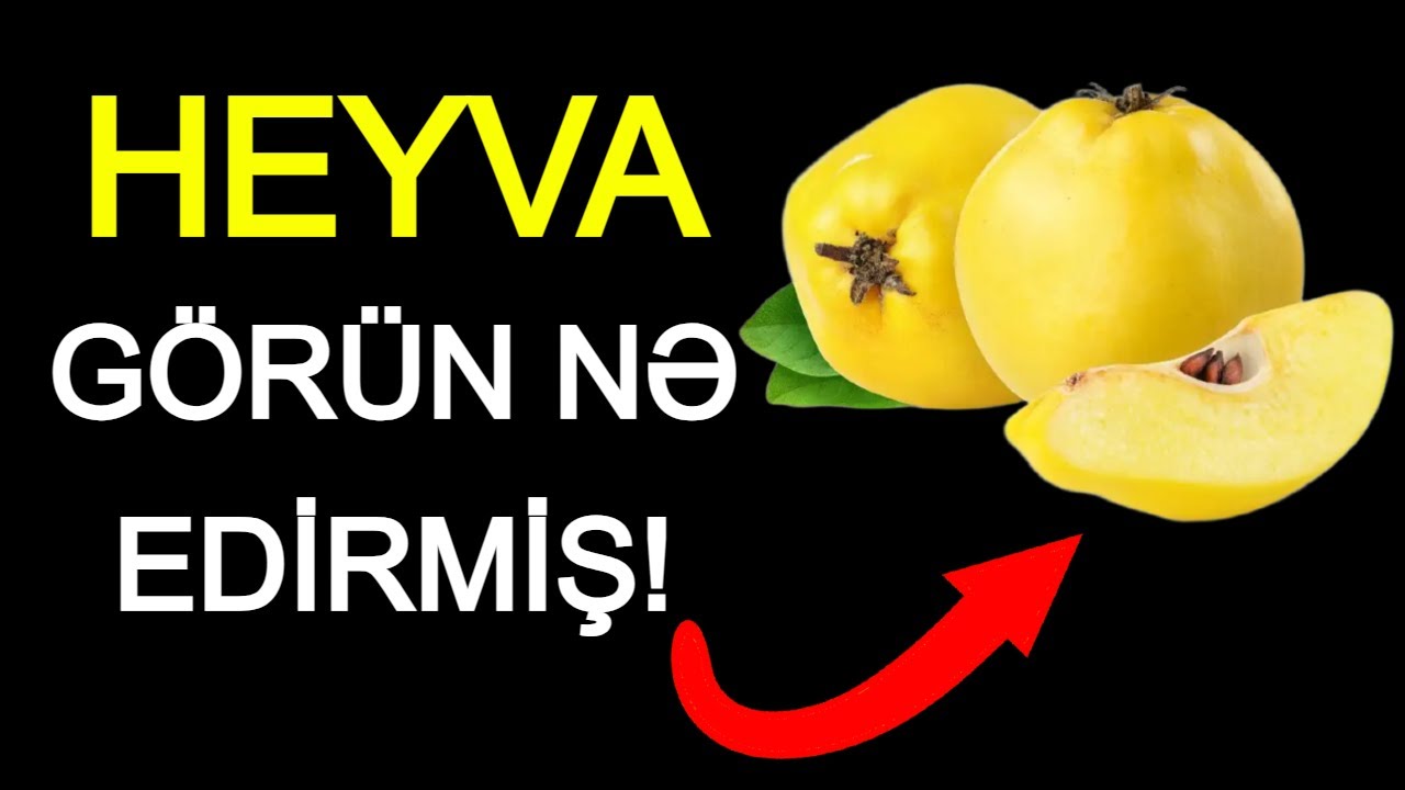 Bişirilmiş HEYVA Adama BUNLARI EDİR! - MÜTLƏQ BAXIN