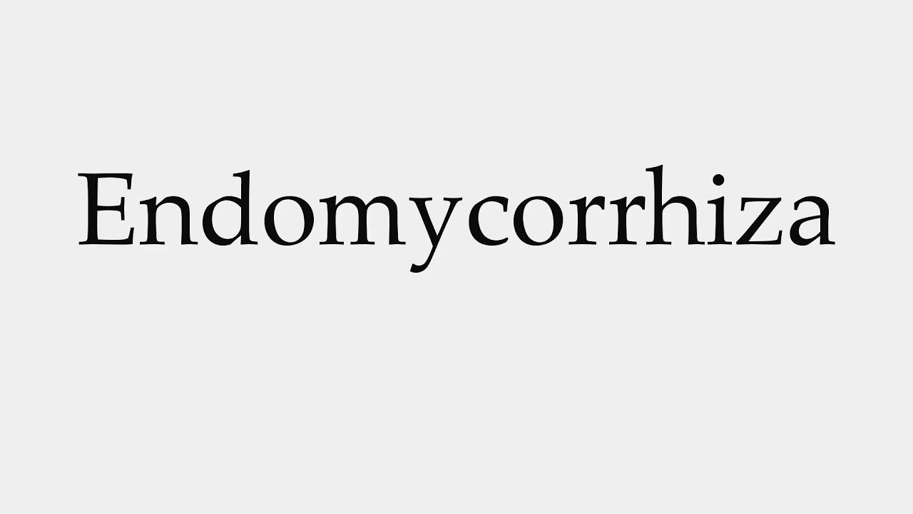 How to Pronounce Endomycorrhiza