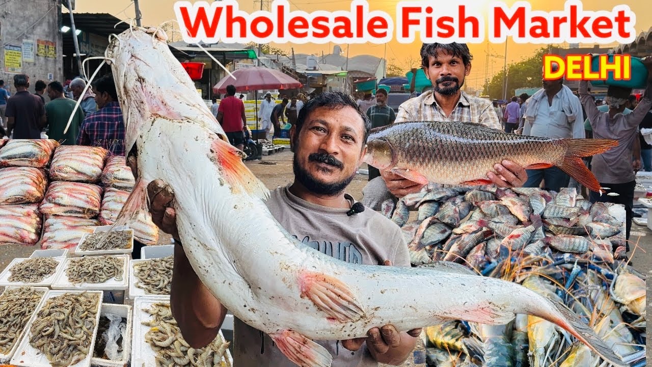 सबसे सस्ता मछली बाजार ॥ Ghazipur fish market rate today| गाजीपुर मछली मंडी॥RRRM |