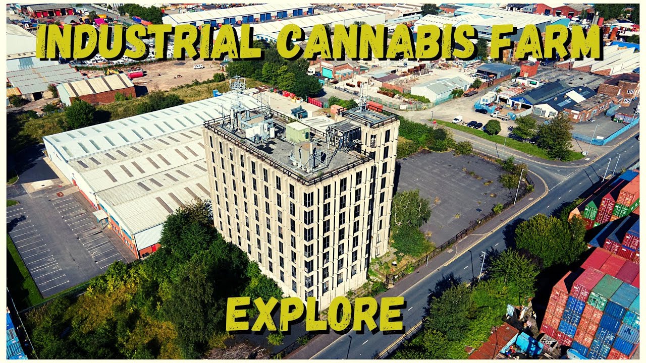 Industrial Cannabis Farm Explore