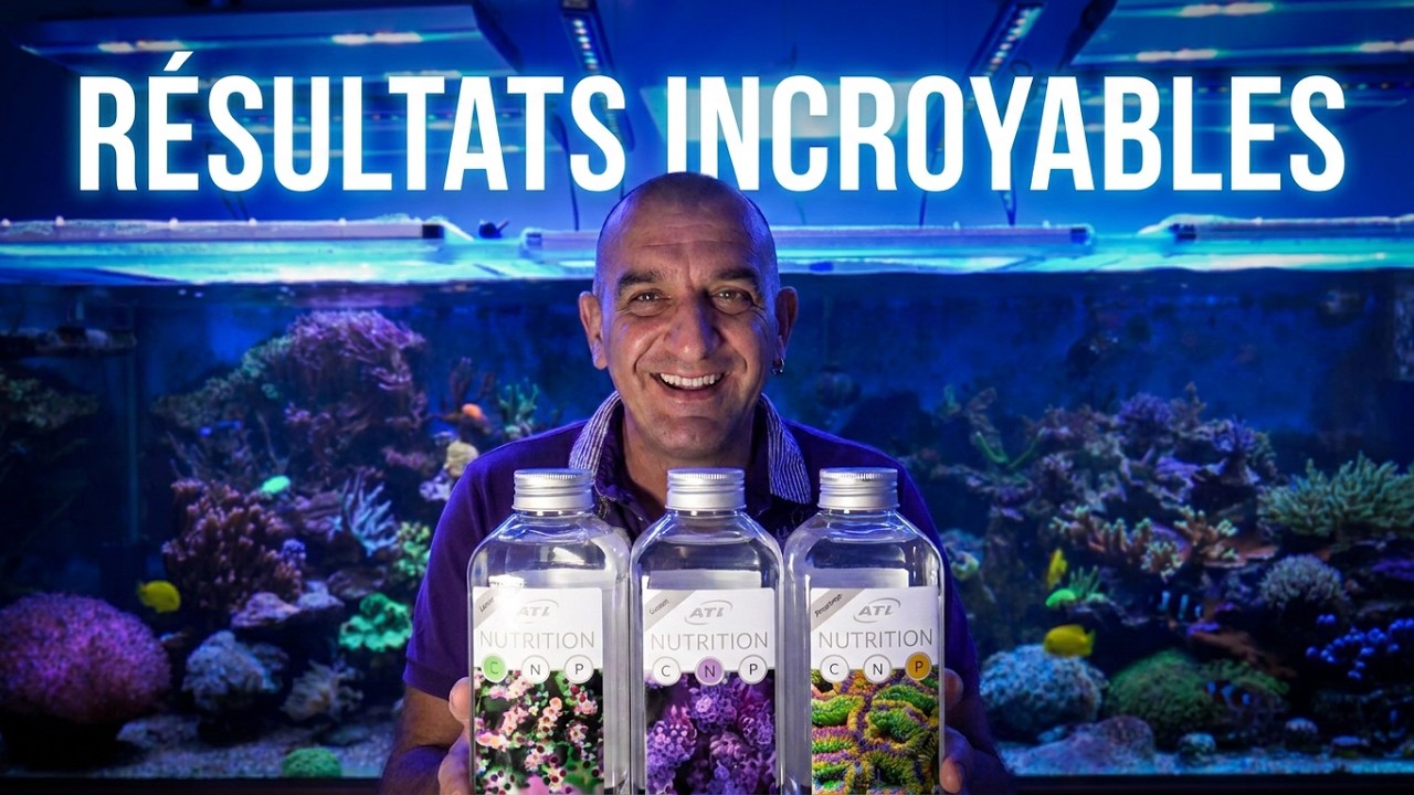 ATI Nutrition CNP, comment les utiliser ?