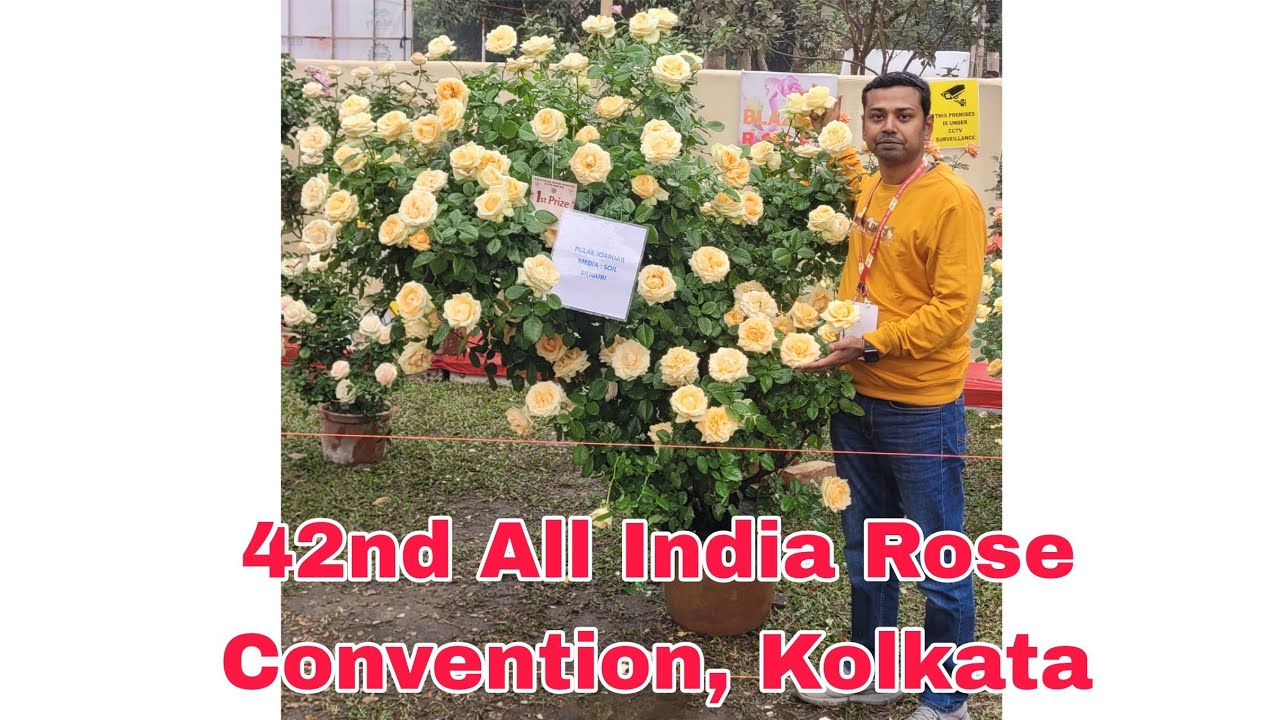 42nd All India Rose Convention, Kolkata