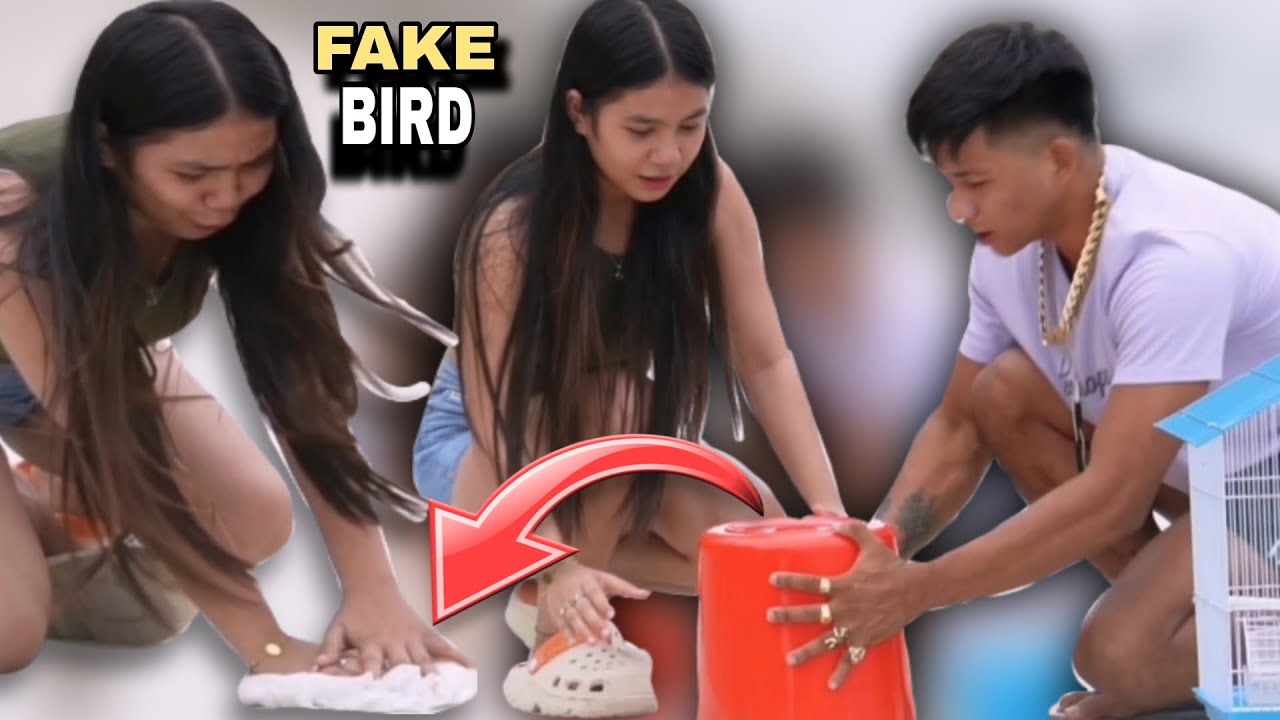 FAKE BIRD 