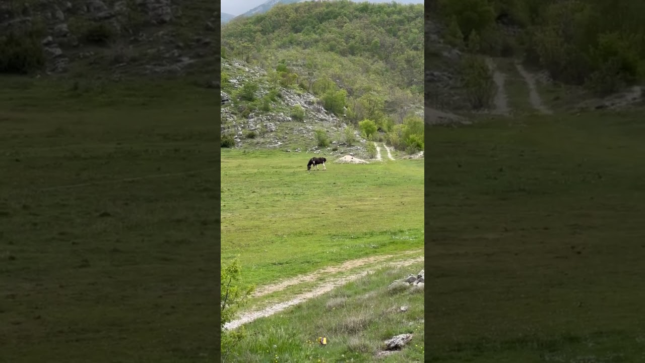 Требине: волшебство Боснии!Trebigne: Magic of Bosnia