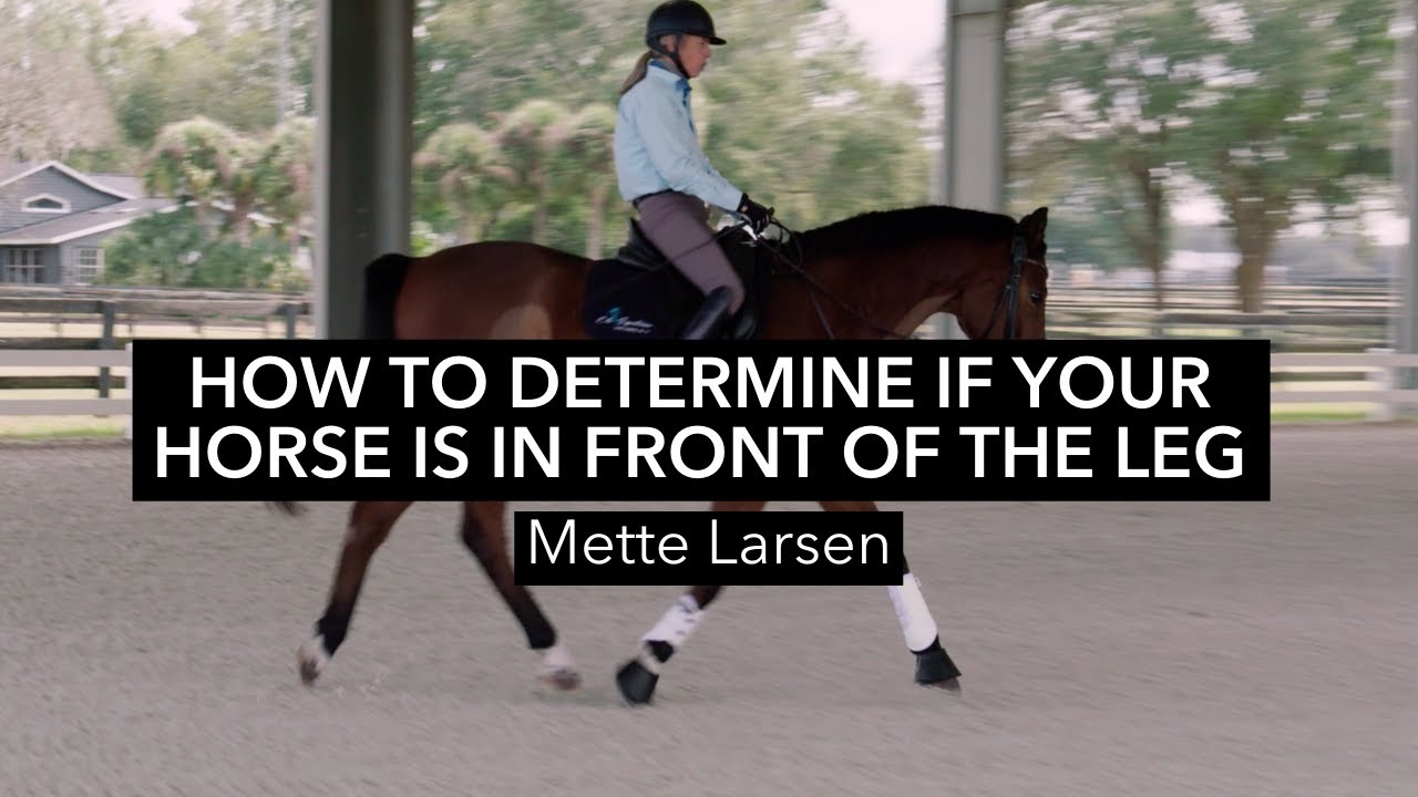 Mette Larsen: How to Determine if Your Horse is in Front of the Leg