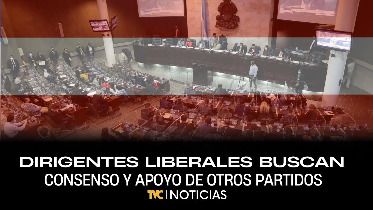 Dirigentes liberales buscan consenso y apoyo de otros partidos