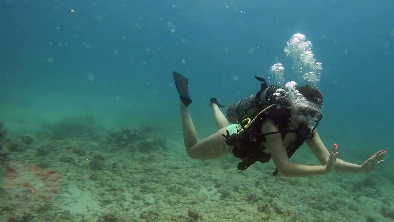 Try SCUBA Diving In Honolulu - Vlog 713