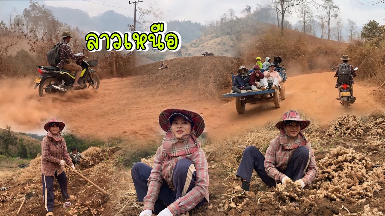 ช้างเผือก.!! ของแทร่ทั้งงามและขยันสาวน้อยคนนี้