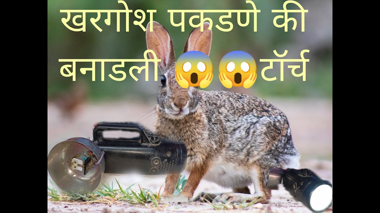 Rabbit haunting Horn How To make Haunting Horn Torch @HantingHou@rabit farming @technicalswap