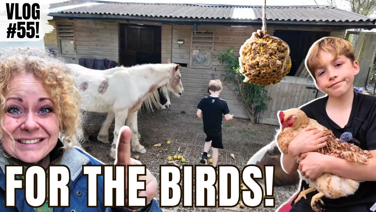 We Made Bird Feeders from Pine Cones! Vlog 55!