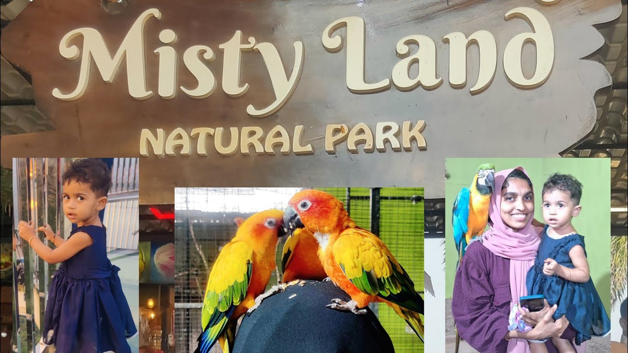 Mini Ooty |Misty land|Glass Bridge |Pet Park|Top tourist places in malappuram |Nihma'sworld 