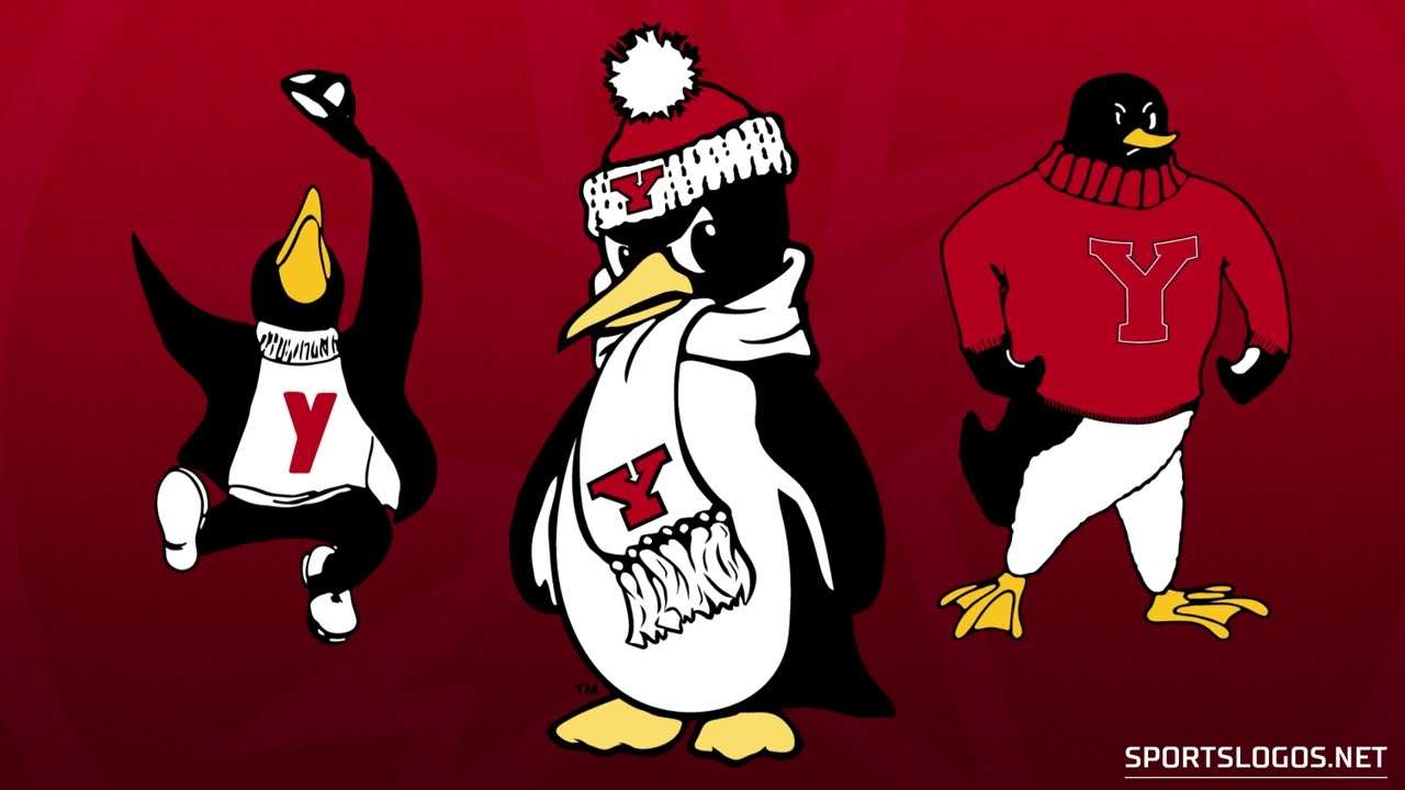 Youngstown State Penguins Logo History