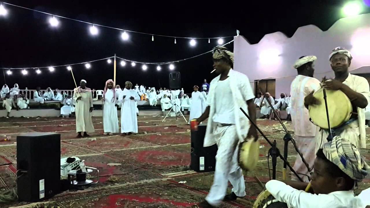 محمد الحسن سفينه
