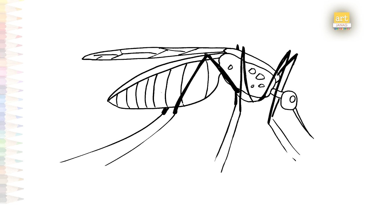 Mosquito drawings | Insect drawing sketches | How to draw A Mosquito drawings SIMPLY | #artjanag