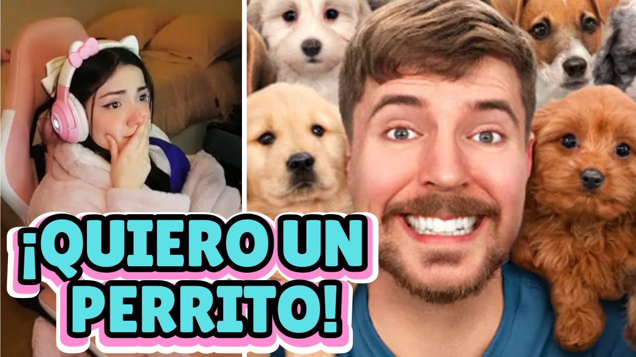 Maryblog REACCIONA 