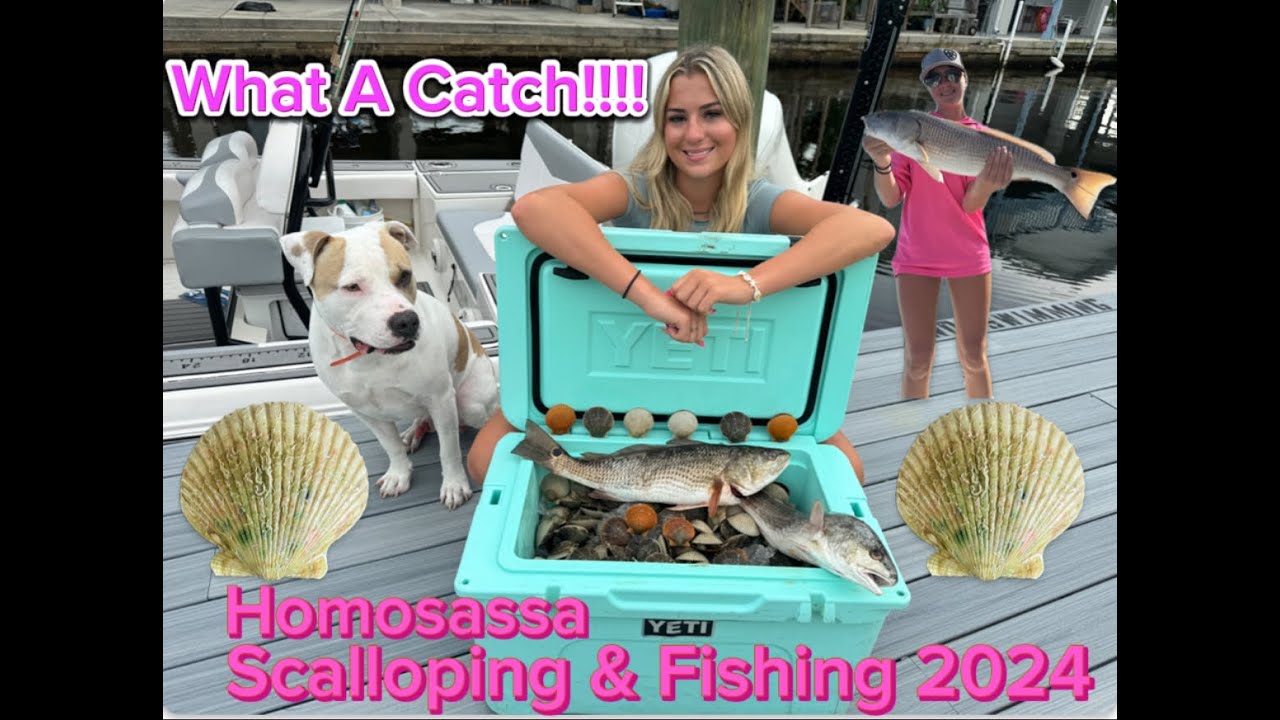Scalloping & Fishing Homosassa, FL 2024
