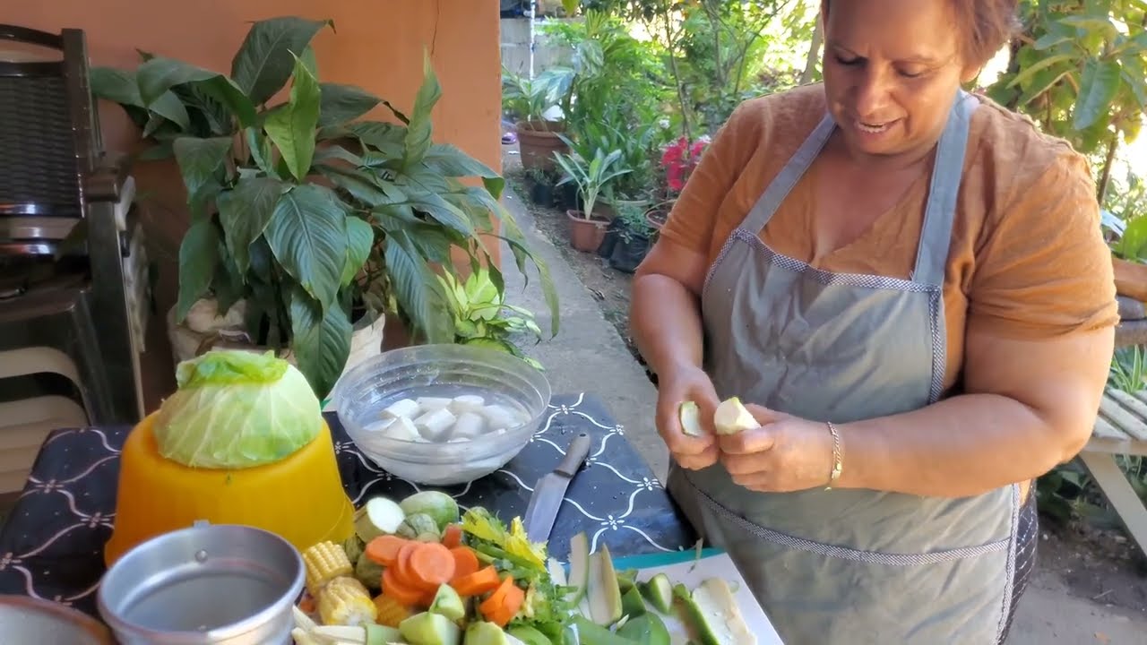 Haciendo sopa de res 