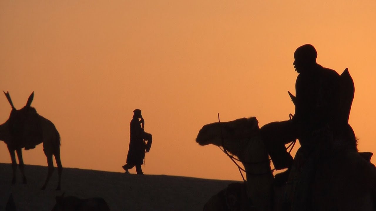 Festival au Desert 2008, Mali