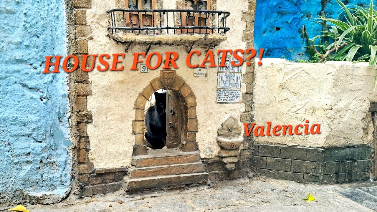 Valencia’s Tiny Cat House 🐱 Casa del Gato | Hidden Gem in El Carmen