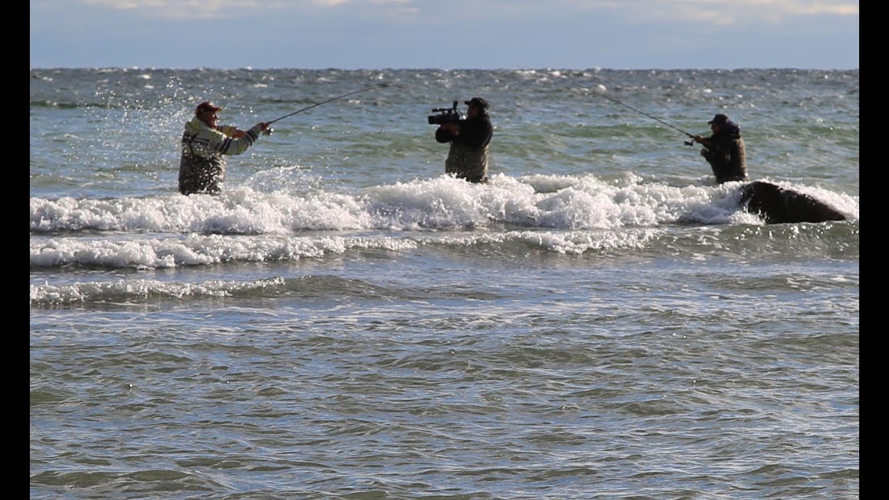МОРСКАЯ РЫБАЛКА. ЛОСОСЬ. ДАНИЯ. © Denmark. Fishing travel. Sea trout.