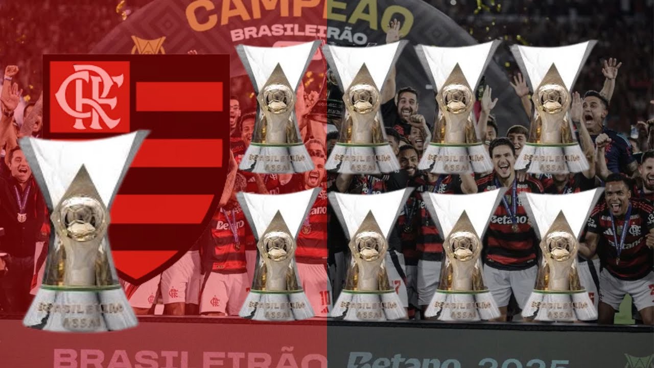 Campanha do Flamengo no Brasileirão 2025