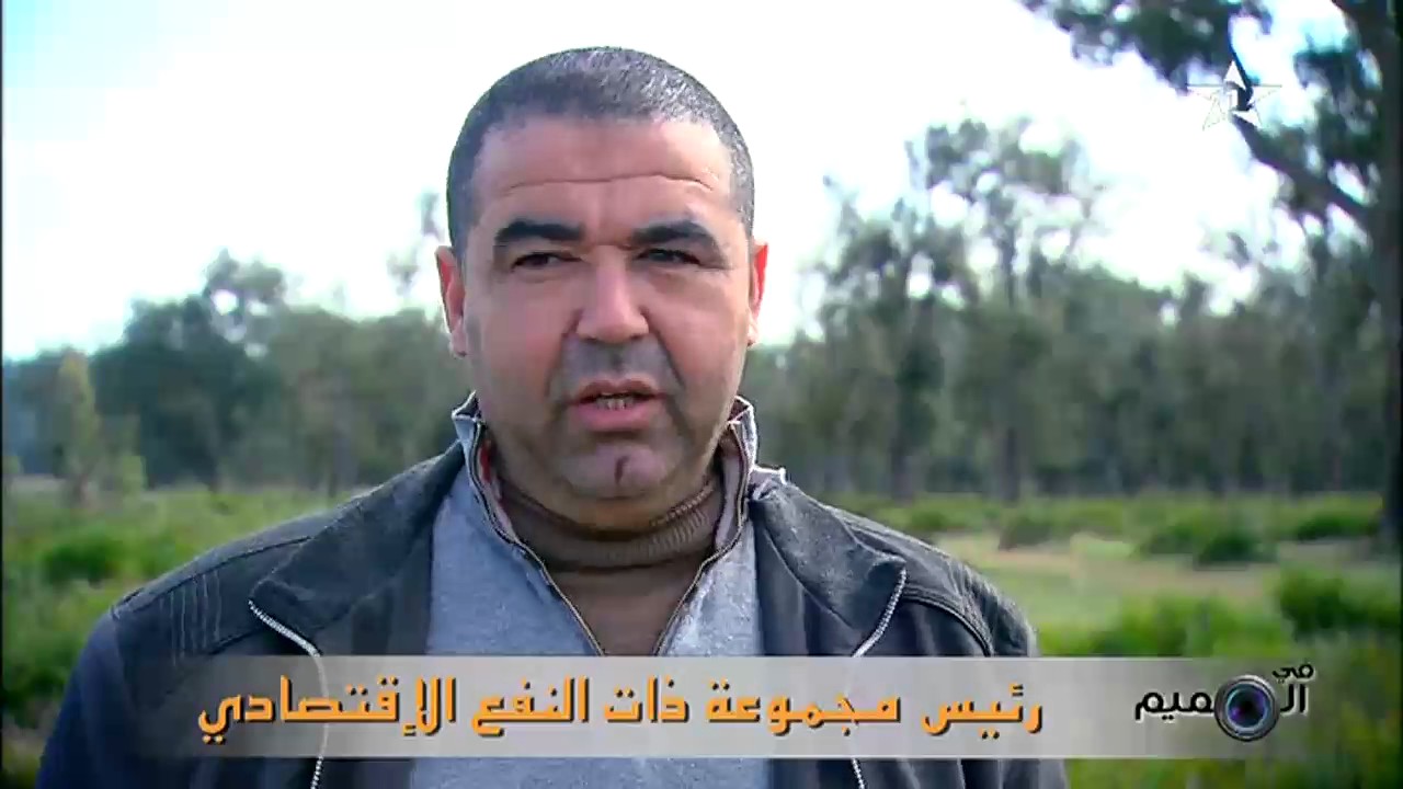 في الصميم - التدبير النظام الغابوي بالمغرب