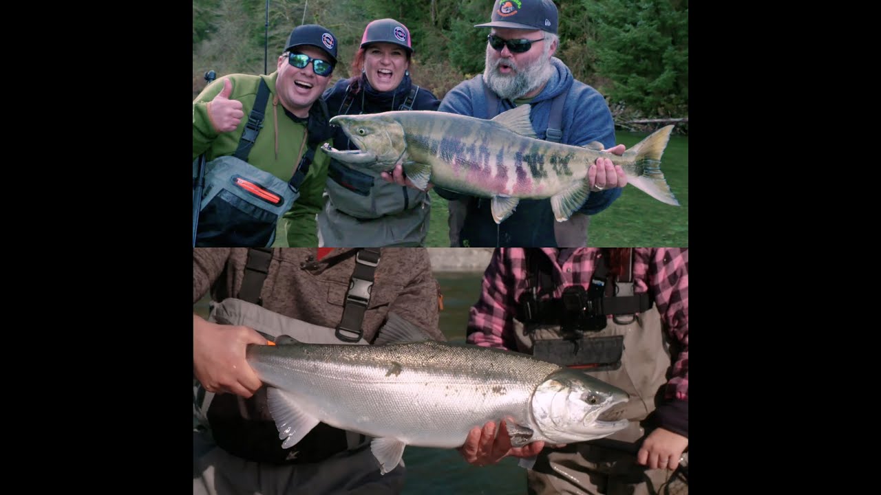 Heli Fishing Remote Rivers for Monster Salmon in British Columbia Canada