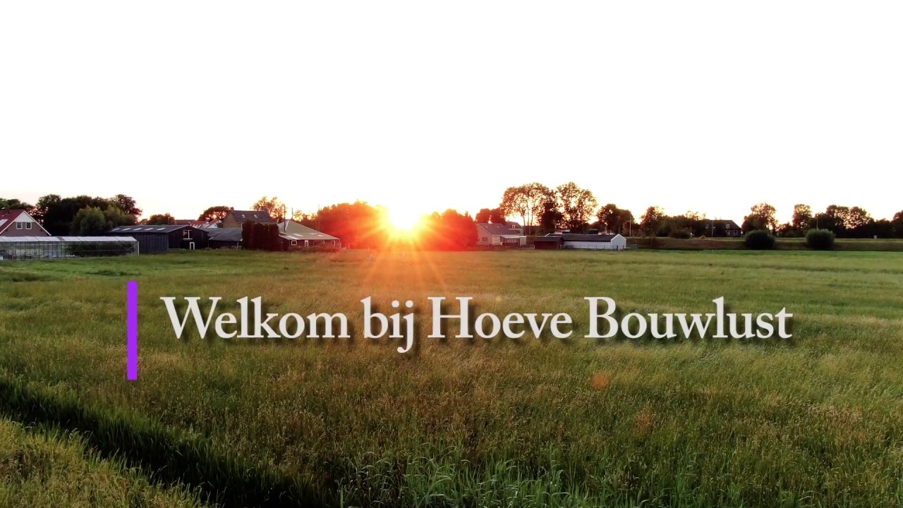Drone impressie van Hoeve Bouwlust Camping Oostgaag