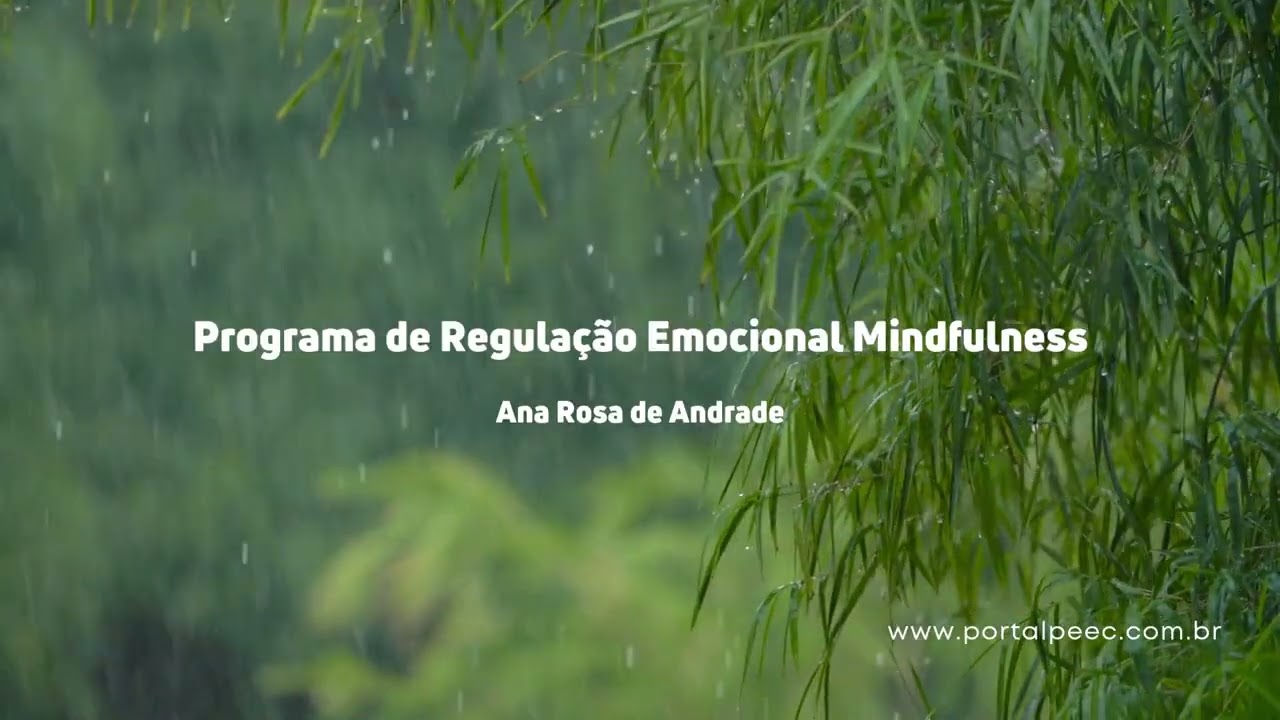 PROGRAMA DE REGULAÇÃO EMOCIONAL - MINDFULNESS (2) - SEM JULGAMENTO.