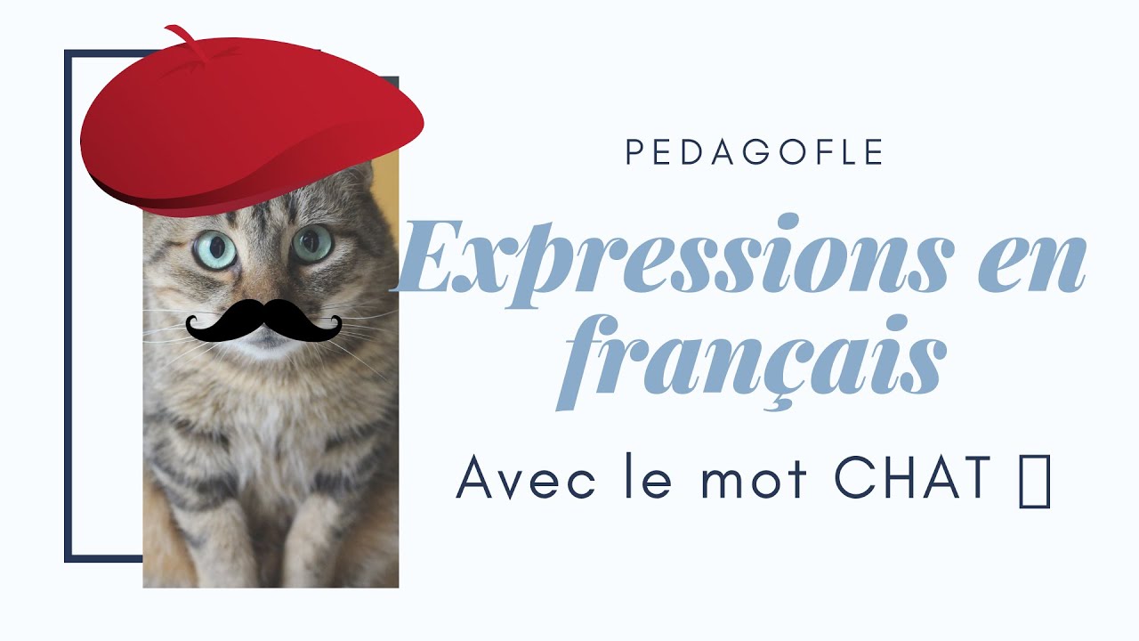 EXPRESIONES FRANCESAS CON 