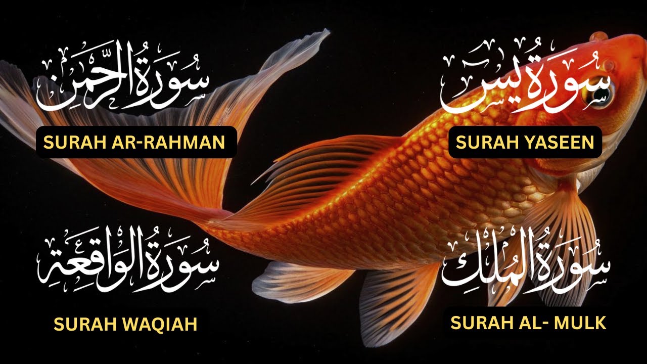 Surah Yaseen♥️,Surah Rahman♥️,Surah Waqiah♥️,Surah Al Mulk♥️| Beautiful  Heart-Touching Recitation❤️