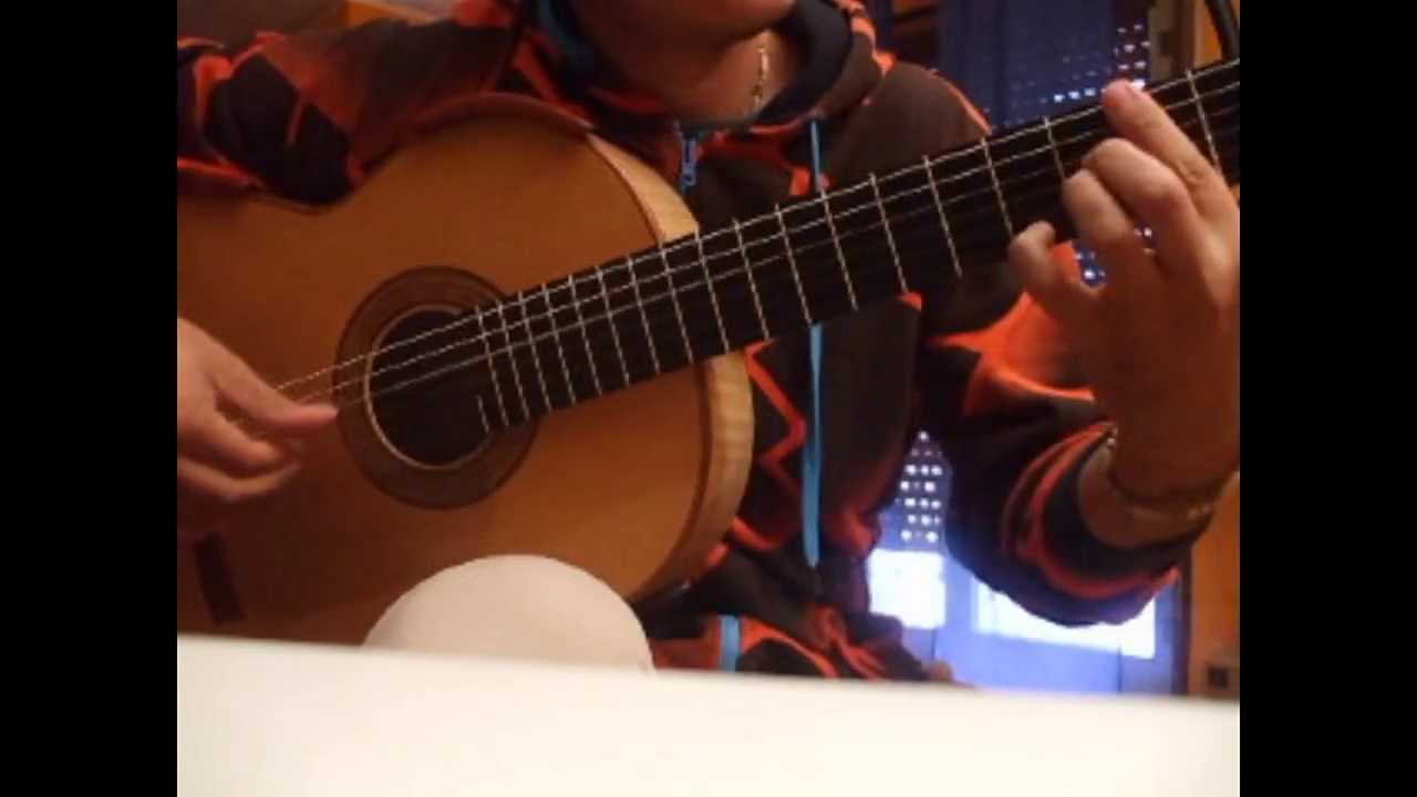 THE SIMPSONS - Guitar Cover by Flavio Sala