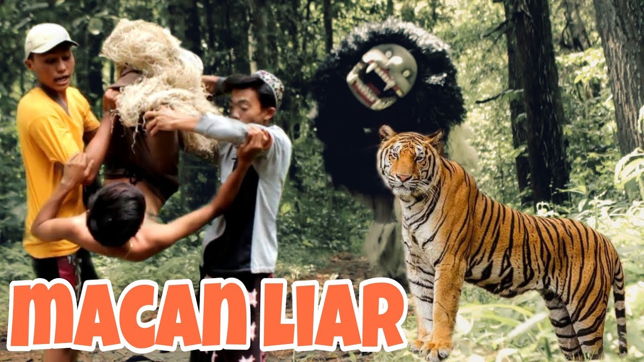MACAN LIAR KESASAR||KOMEDI MADURA||