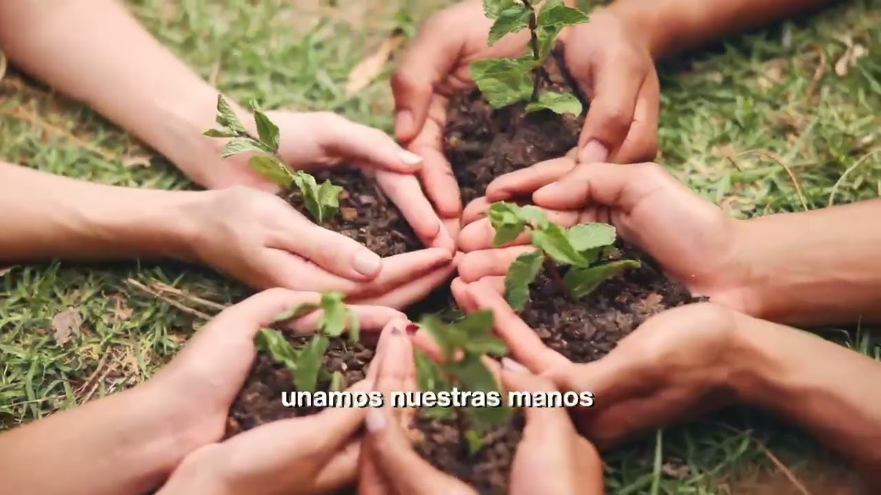 Manos ✋️ de amor 💌. #Venezuela 