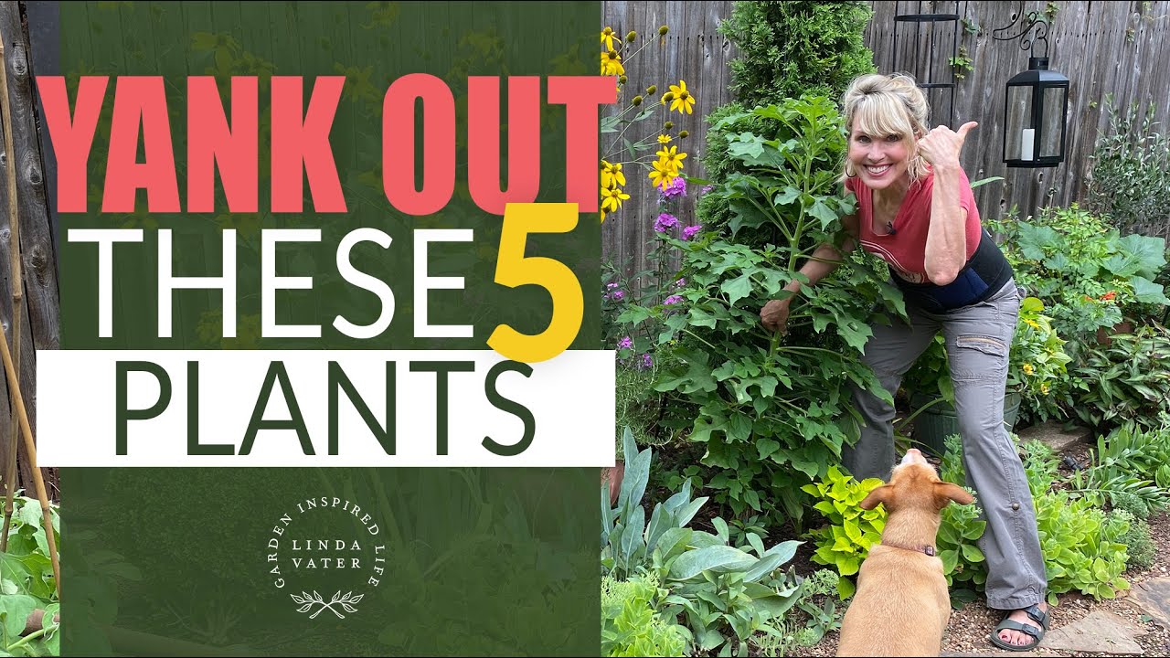 Pull OUT These 5 Plants!