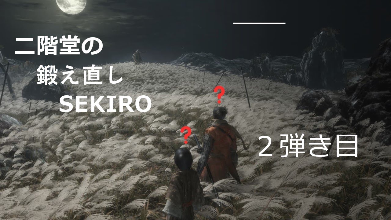 二階堂の鍛え直しSEKIRO　２弾き目