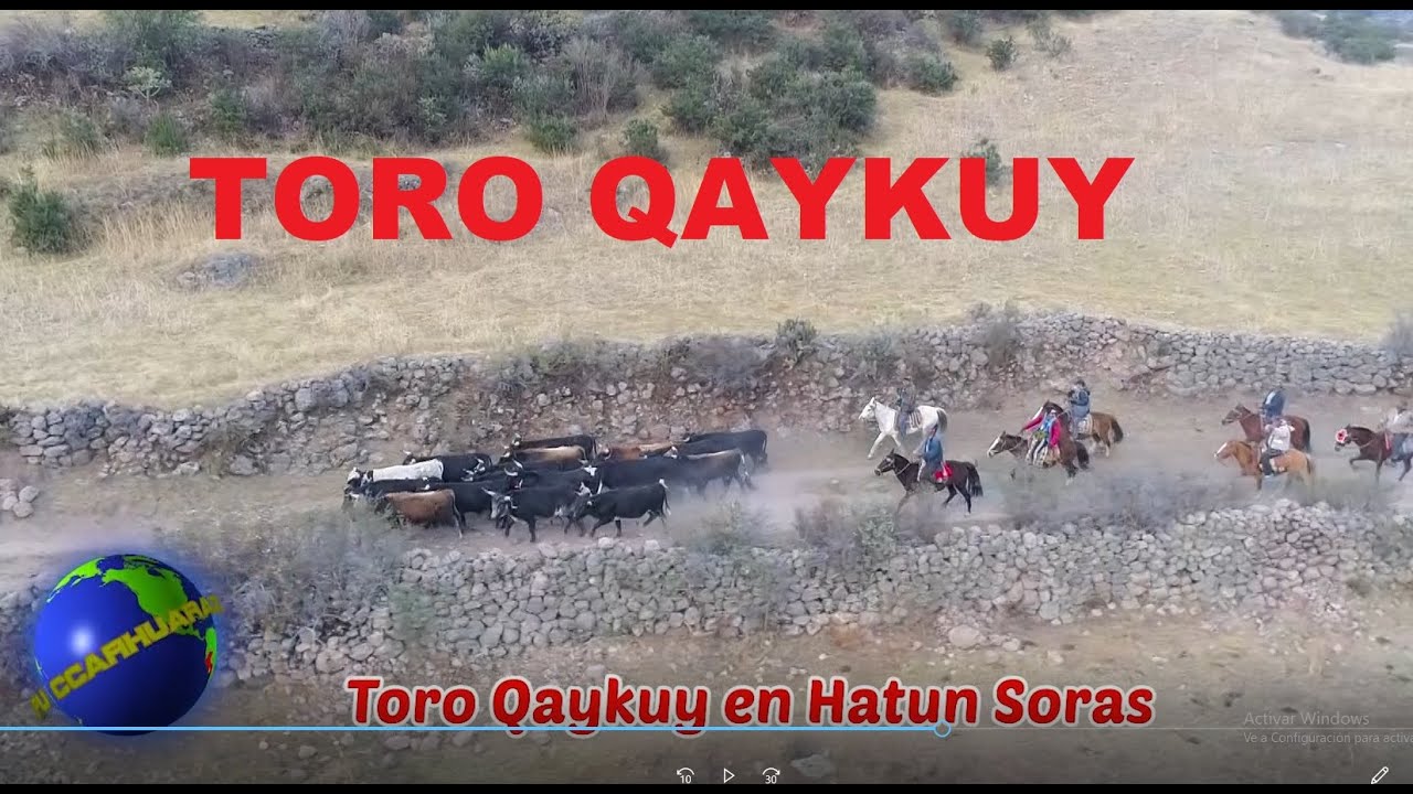 TORO QAYKUY/ ARREO DE TOROS BRAVOS SORAS SUCRE AYACUCHO